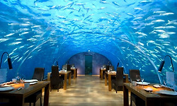 인터내셔널 컬러 어워드(International Color Awards)의 4회(2010) 출품 작품들