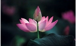 당신을 영겁(永劫)의 인연으로 만났으니...