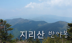 지리산 반야봉과 뱀사골의 싱그러운 초록빛 풍경