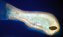 러시아 우주인 효도르 여치킨(Fyodor Yurchikhin)이 찍은 지구별의 멋진 장면들