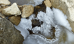 어느날 미친 봄을 산에서 만나다.