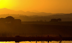 지 살자고 하는 짓 - 하종오