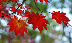 우주.. 안드로메다.. 태양계.. 지구.. 속리산..