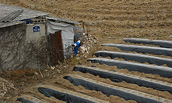 지리산 둘레길로 떠나는 느림의 행보  - 지리산 둘레길 2 구간