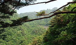 청량산에 새로 생긴 명물 하늘다리.