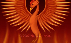 185명의 스카이다이버가 만든 불사조 피닉스(Phoenix).. 미완성? 아님 약간의 실패작?