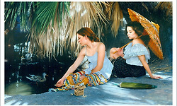 미국 화가 더피 쉐리던(Duffy Sheridan)의 작품, 슬픈 눈빛