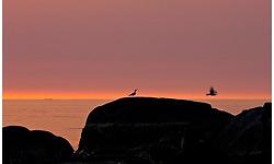 겨울바다 - 김남조