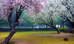 너무나 아름다운 세상 풍경과 멋진 사진들 - 11