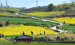 청산도 슬로길 - 빨리 걸어면 반칙인 청산도에서 범바위와 보적산을 이어 달리다.