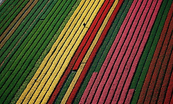지구환경 사진작가인 얀 아르튀스 베르트랑(Yann Arthus Bertrand)의 '하늘에서 본 지구(Earth from above)' - 1부