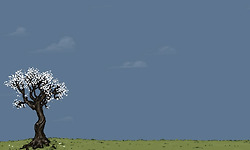 이 문디 자슥아 - 황무룡