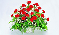 어버이날 아침에..