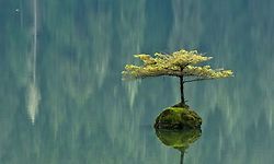 세월이 흐를수록 더욱 짙어지는 귀향(歸鄕) 본능..