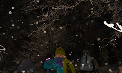 소백산 비로봉의 난민들..