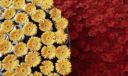 눈이 시원해지는 아름다운 풍경들