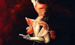 리처드 영(Richard Young)의 댄스(Dances)라는 작품집에 나오는 멋진 포즈