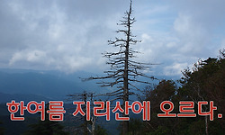 지리산 천왕봉과 장터목 능선의 여름 풍경