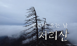 지리산에 올라 올 겨울 첫눈을 맞다.