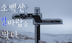 소백산 칼바람을 맞으며 눈꽃 능선을 걷다.