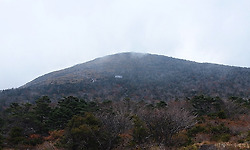 제주도 여행 3일째 - 담이와 지율이 한라산에 오르다.