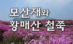 모산재의 바위능선과 황매산의 화려한 철쭉꽃밭