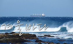 그리고, 또 겨울바다에 가 보았지