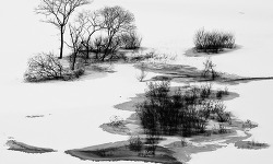 겨울 설경을 멋지게 담은 사진 한장 - 테루오 아라야(Teruo Araya)의 50리호수의 설경(五十里湖 雪景)