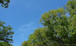 19번 국도, 하동과 구례의 여행지에서 연두빛 봄을 즐기다.