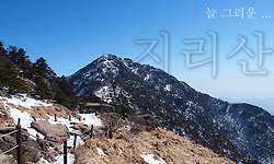 지리산에 오르다. (백무동 - 장터목 - 천왕봉)