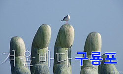 겨울바다에 가 보았지 - 구룡포, 호미곶