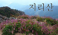 지리산 단풍 시작, 그리고 천상화원