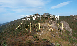 들꽃향기 가득한 지리산 주능선 (남부능선 종주기 후편)