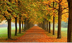 아름다운 가을 풍경 사진 100선 - 2