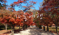 가을여행 (내장산~솔섬 일몰~모항~내소사~정든민박)