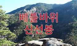 두타산 베틀바위 절경과 신선봉의 기이한 소나무