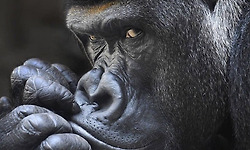 특별하고도 신기한 이런저런 볼거리들 (덤: 가을 느낌)