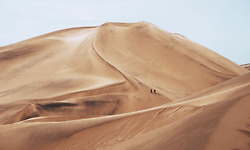 대추나무에 성질 급한 염소를 묶어 놓으면..