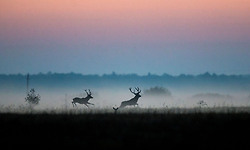 아름다운 가을 풍경과 이미지