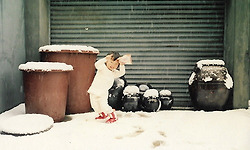 앨범이 사라지니 추억도 사라지네.