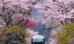 ㅎㅎ와 ㅋㅋ의 사용 설명서