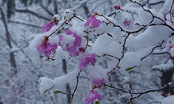 산림청 지정, 숨겨진 우리 명산 244곳