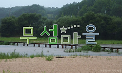 비가 오면 더욱 운치있는 영주 무섬마을