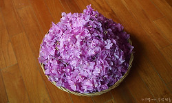 두견주(진달래 술) 담그는 법