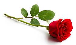 결혼 기념일 - 60세에는 따라 나서다가 두들겨 맞고..