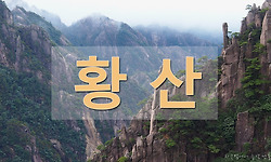 중국 황산 산수화에 반하다.