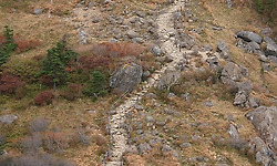 58년 황금개띠 두가, 육십갑자 한바퀴 돌다.