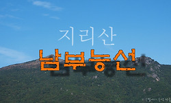 정글 숲 같은 지리산 남부능선을 걷다.(남부능선 종주기 전편)