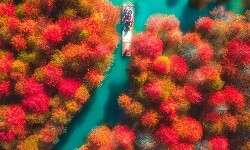 중국에서 가장 아름다운 가을 풍경 50선