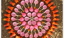 꽃으로 꽃 만들기 - 케시 클라인(Kathy Klein)이 만든 만다라 형상의 꽃 작품들